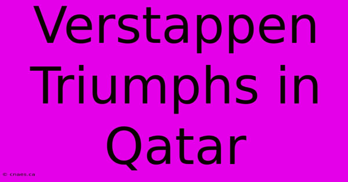 Verstappen Triumphs In Qatar