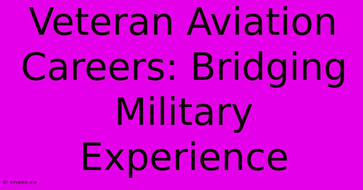 Veteran Aviation Careers: Bridging Military Experience