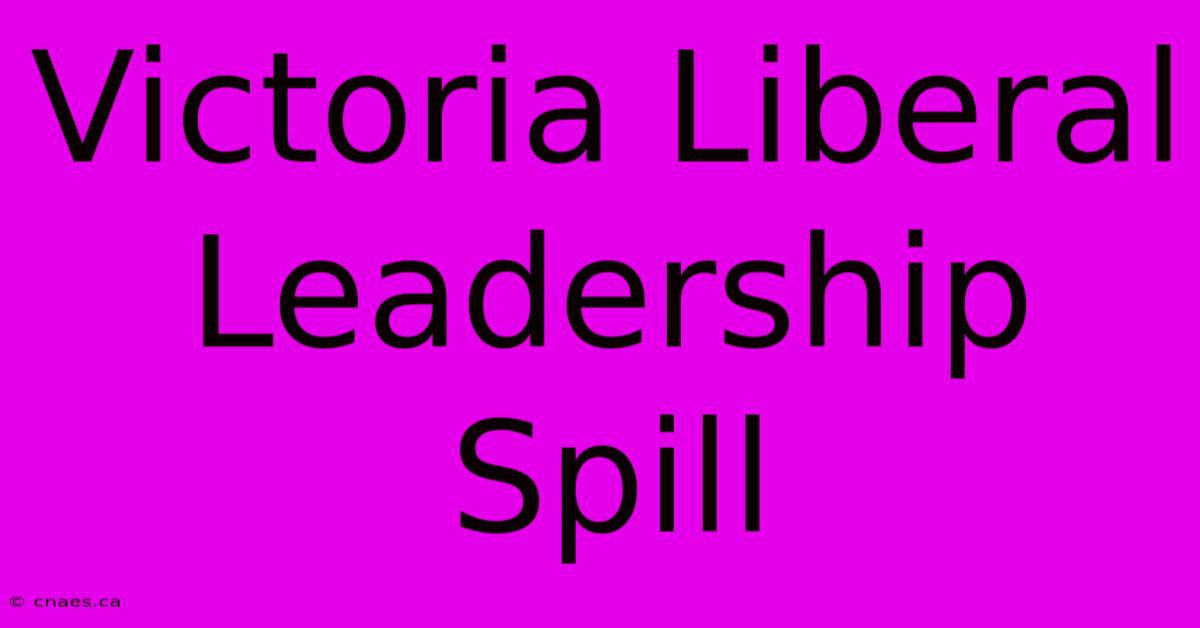 Victoria Liberal Leadership Spill