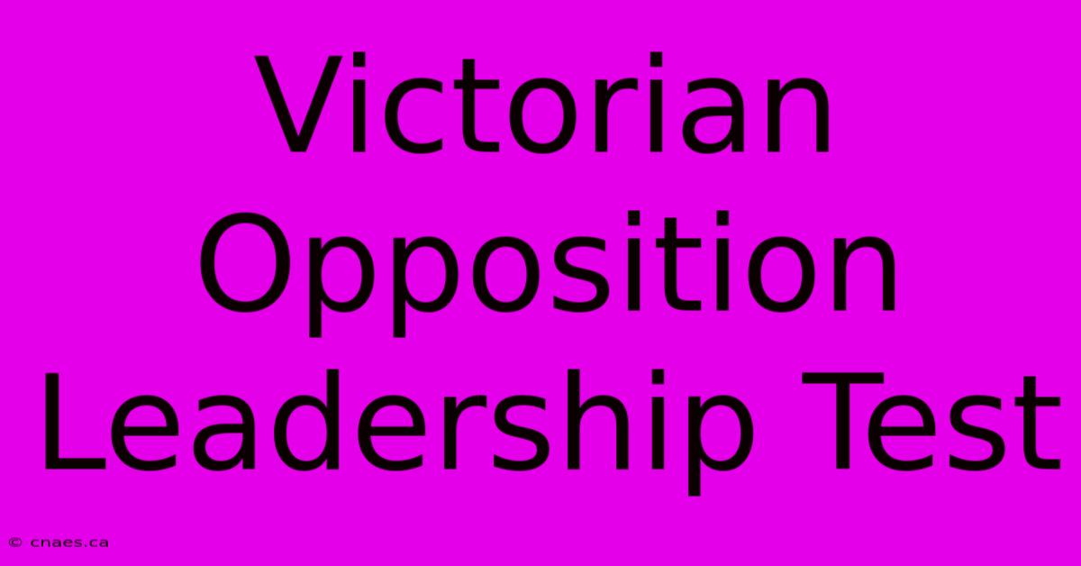 Victorian Opposition Leadership Test