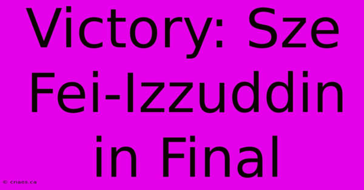 Victory: Sze Fei-Izzuddin In Final