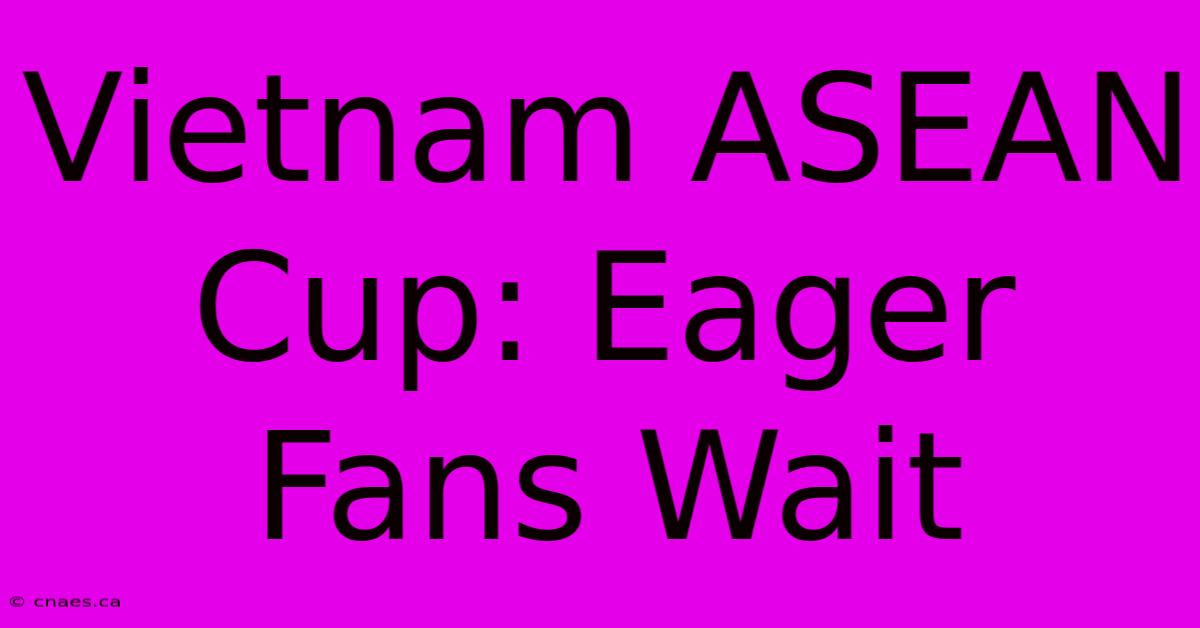 Vietnam ASEAN Cup: Eager Fans Wait