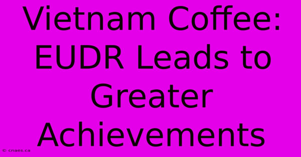 Vietnam Coffee: EUDR Leads To Greater Achievements 