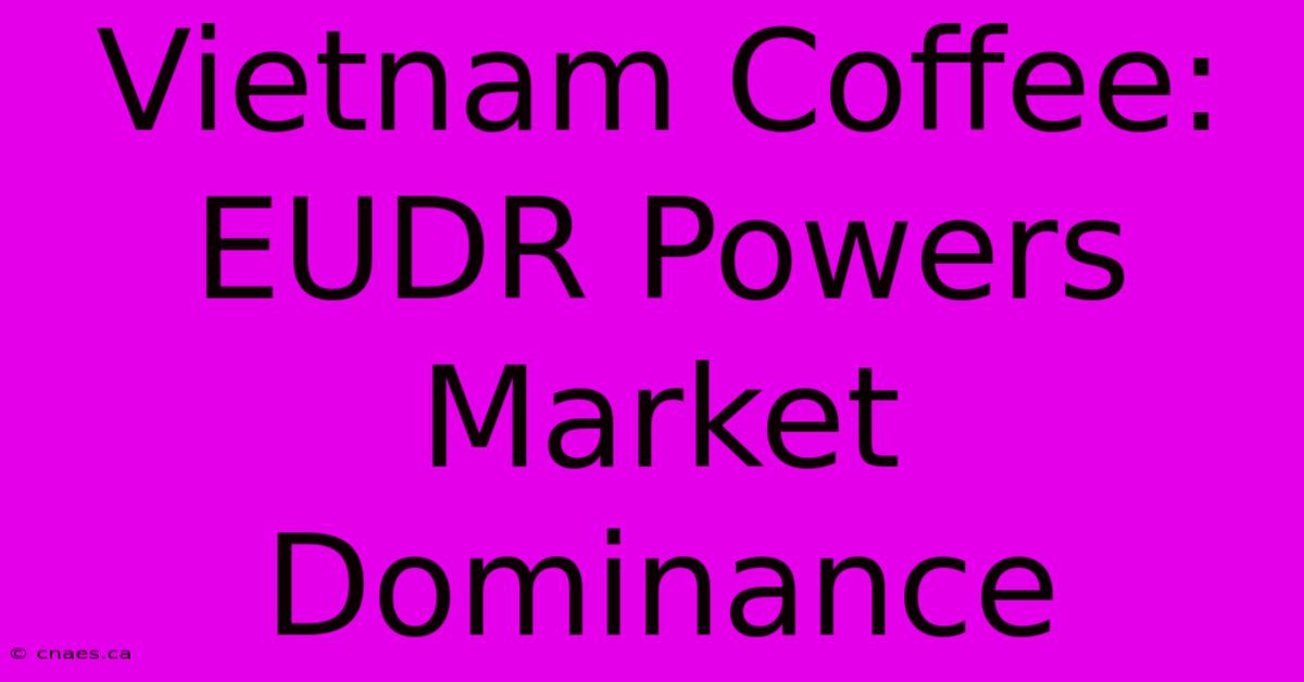 Vietnam Coffee: EUDR Powers Market Dominance