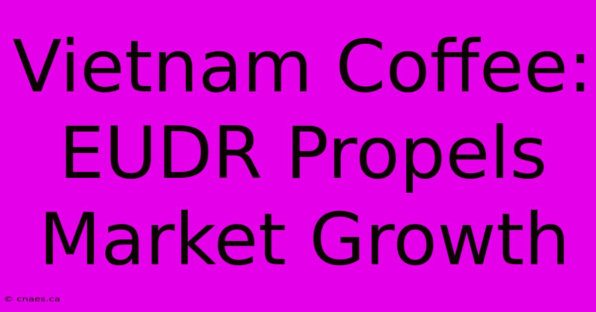 Vietnam Coffee: EUDR Propels Market Growth