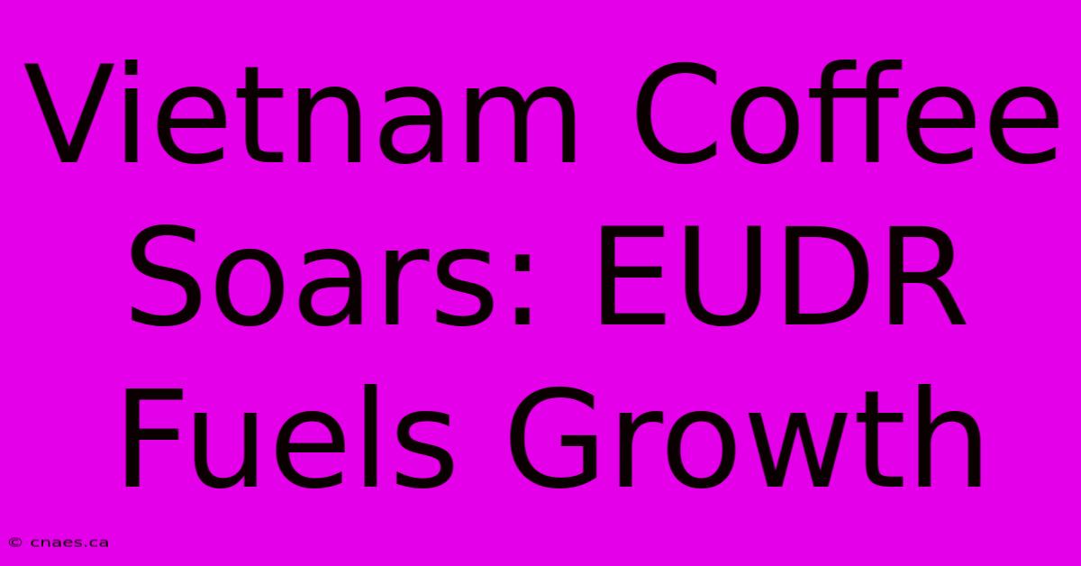 Vietnam Coffee Soars: EUDR Fuels Growth