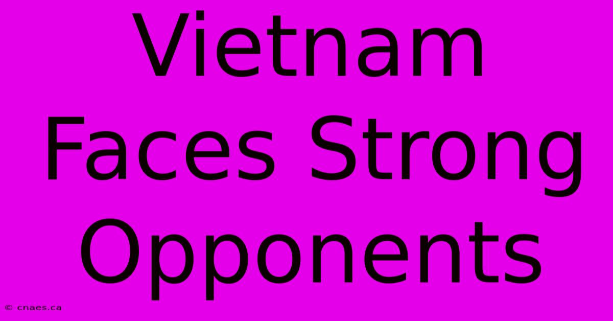 Vietnam Faces Strong Opponents