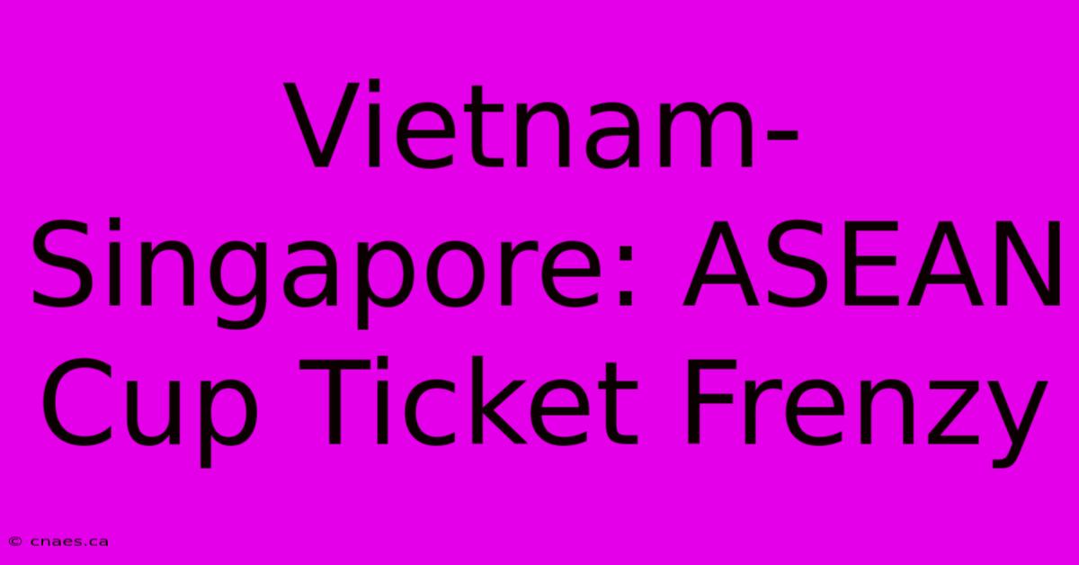 Vietnam-Singapore: ASEAN Cup Ticket Frenzy