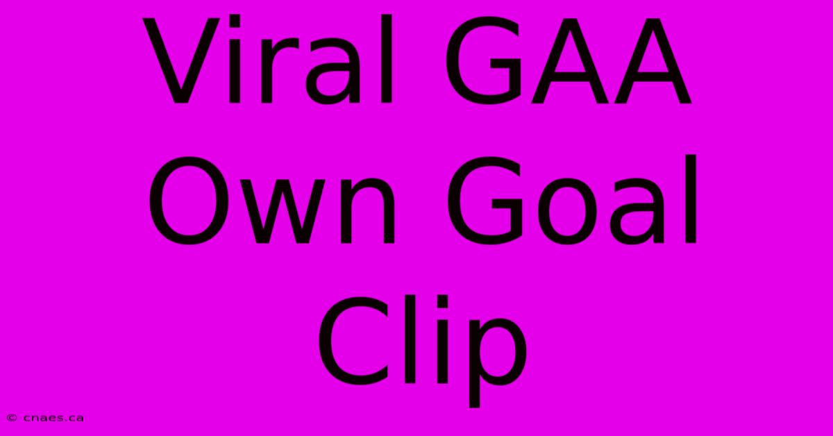 Viral GAA Own Goal Clip