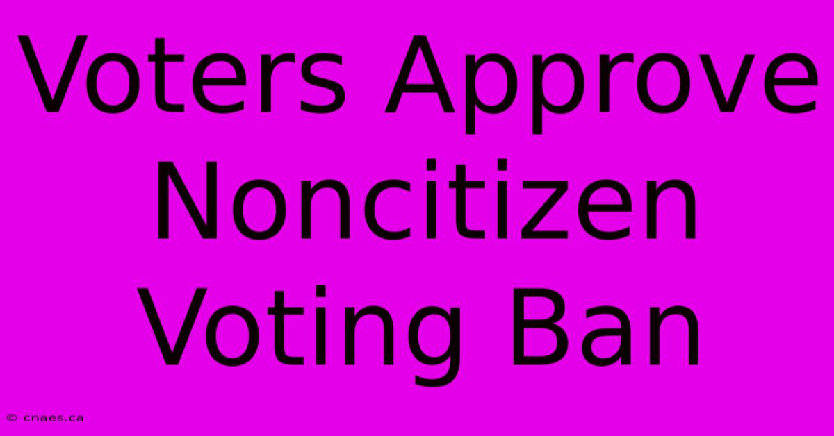 Voters Approve Noncitizen Voting Ban