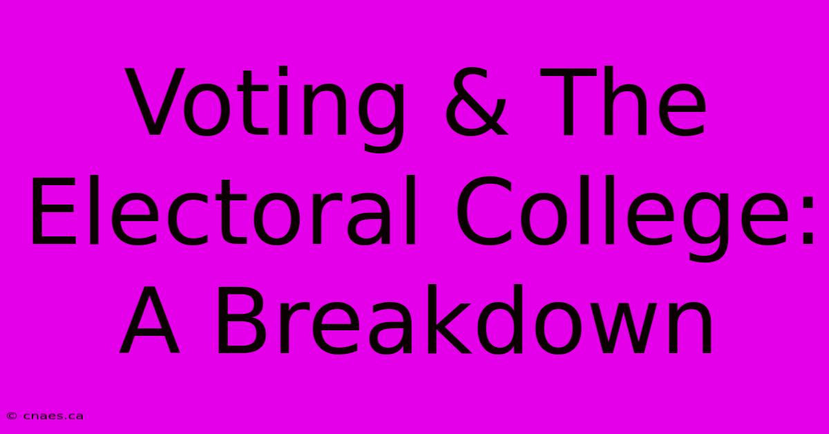 Voting & The Electoral College: A Breakdown 