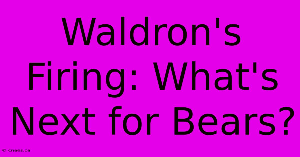 Waldron's Firing: What's Next For Bears?