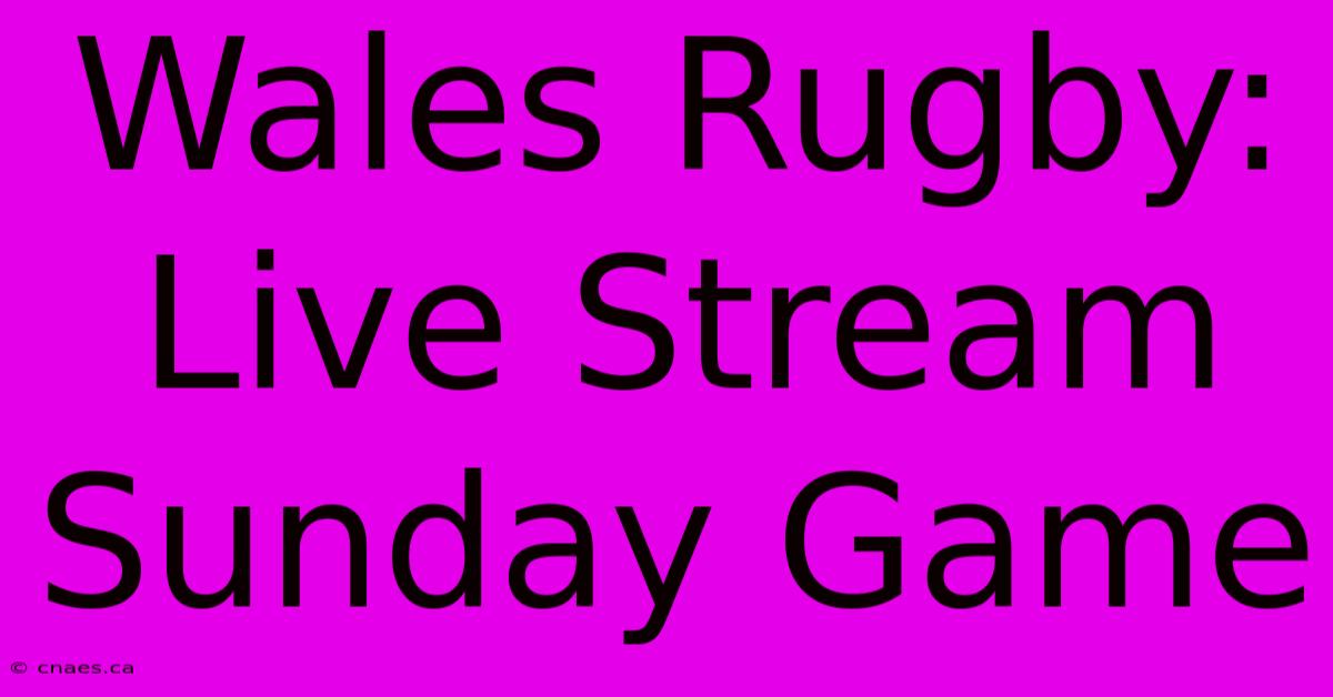 Wales Rugby: Live Stream Sunday Game