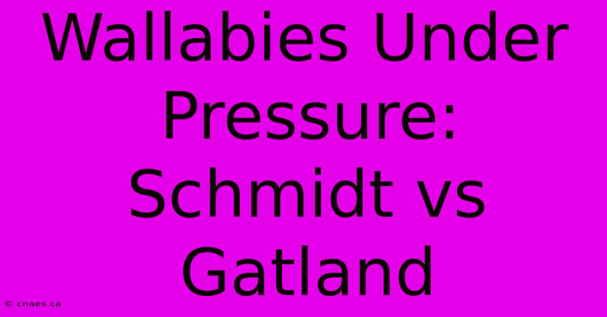 Wallabies Under Pressure: Schmidt Vs Gatland