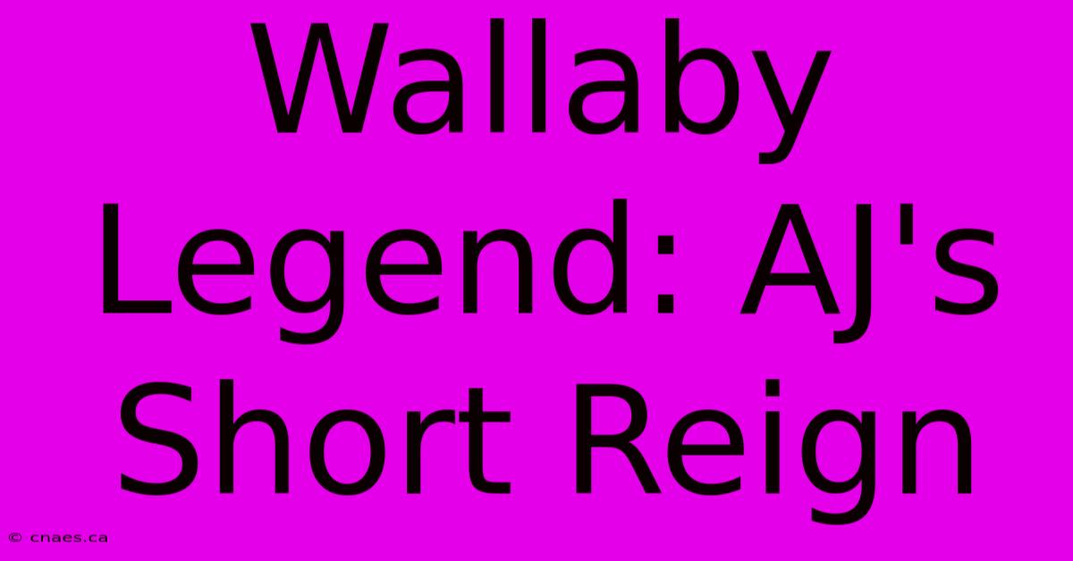 Wallaby Legend: AJ's Short Reign