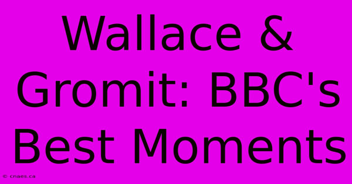 Wallace & Gromit: BBC's Best Moments