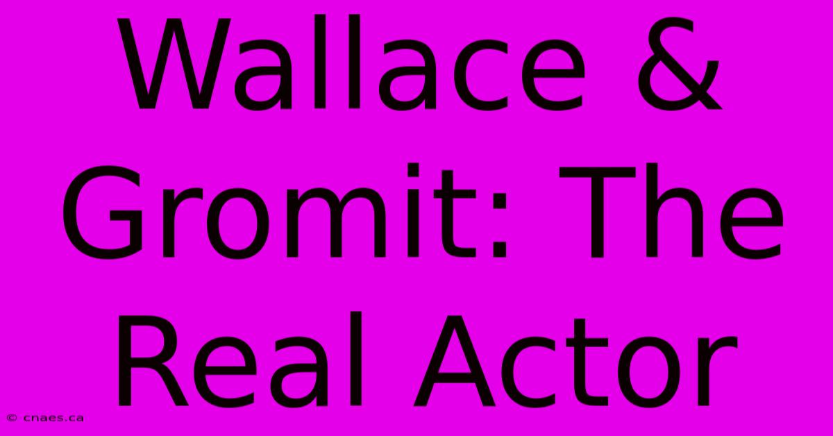 Wallace & Gromit: The Real Actor