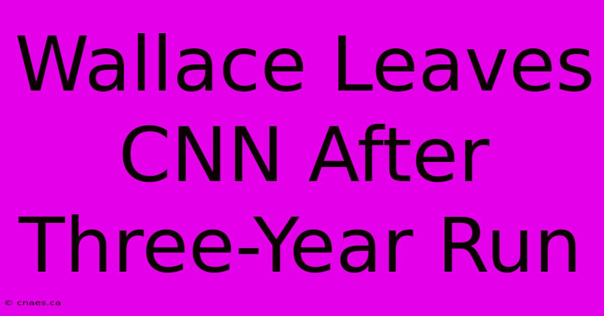 Wallace Leaves CNN After Three-Year Run