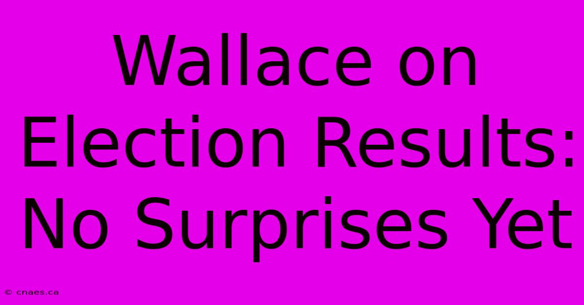 Wallace On Election Results: No Surprises Yet