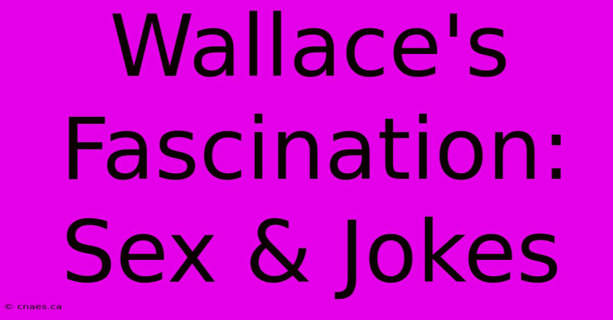 Wallace's Fascination: Sex & Jokes