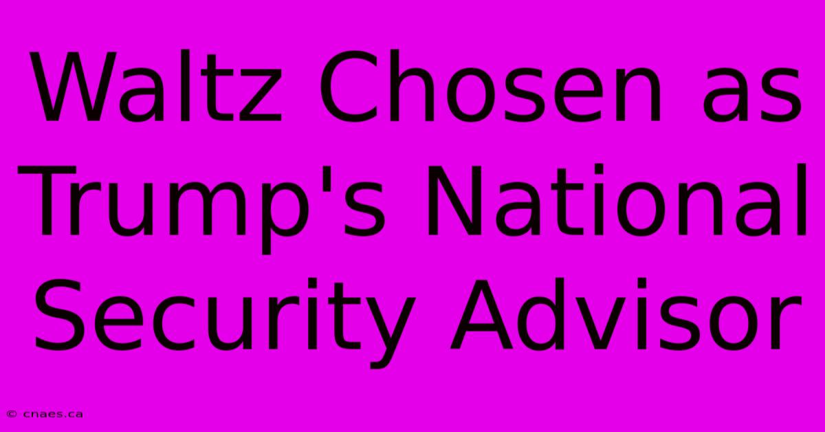 Waltz Chosen As Trump's National Security Advisor 