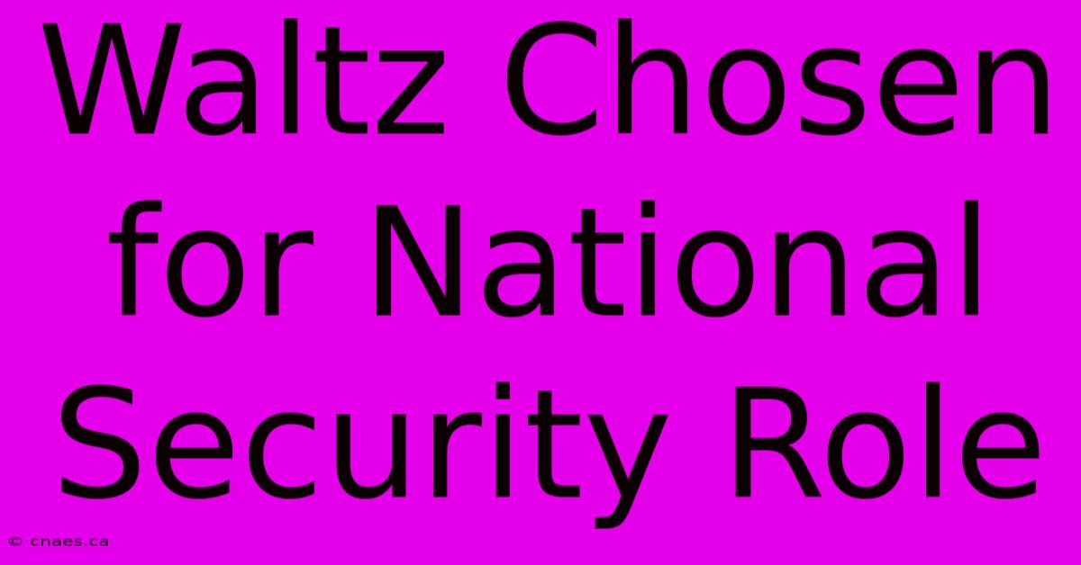 Waltz Chosen For National Security Role