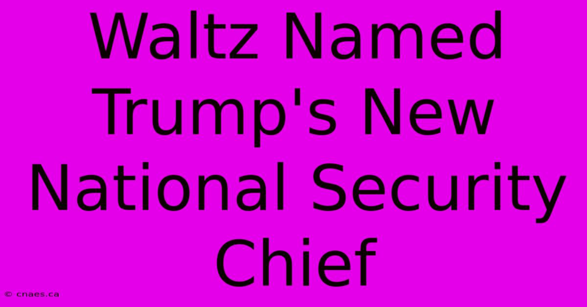 Waltz Named Trump's New National Security Chief