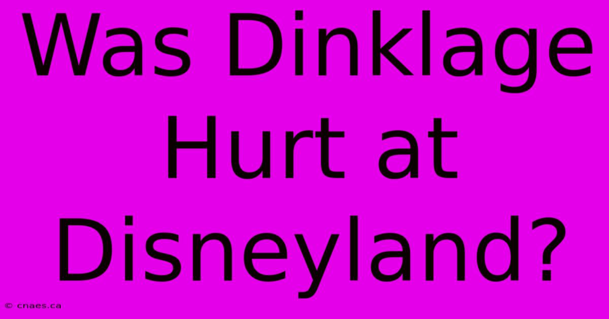 Was Dinklage Hurt At Disneyland?