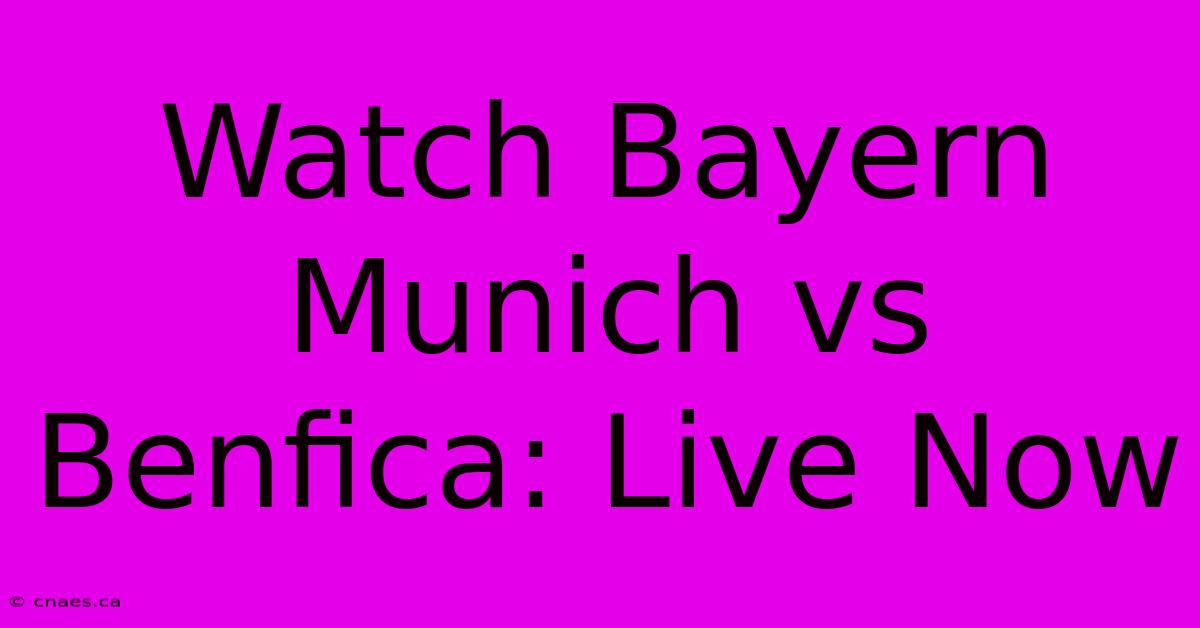 Watch Bayern Munich Vs Benfica: Live Now