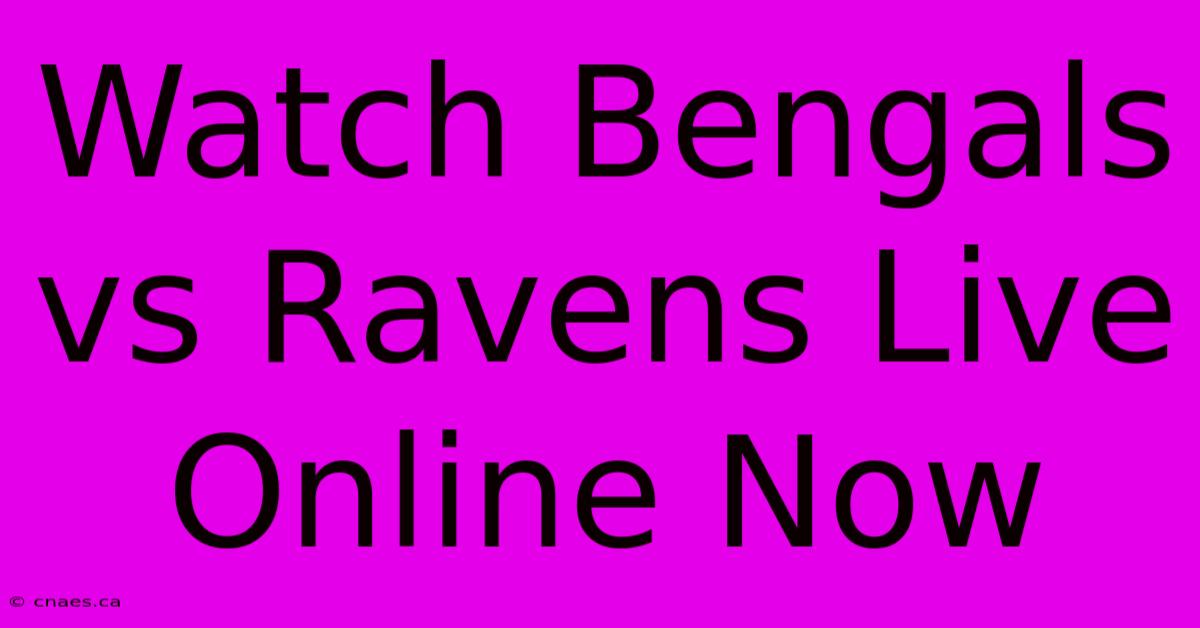 Watch Bengals Vs Ravens Live Online Now 