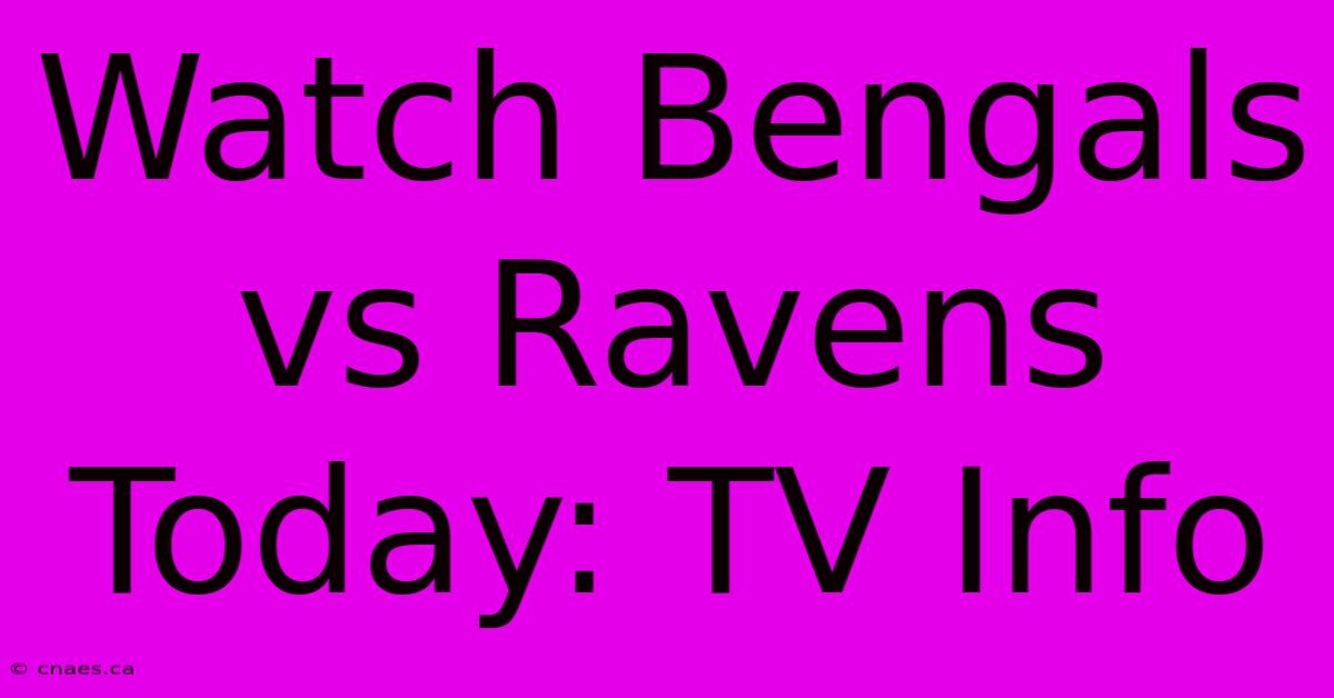 Watch Bengals Vs Ravens Today: TV Info