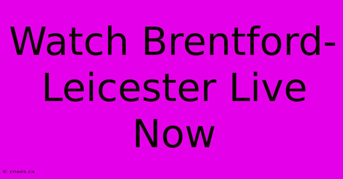 Watch Brentford-Leicester Live Now