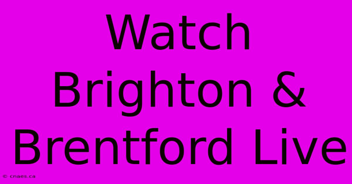 Watch Brighton & Brentford Live