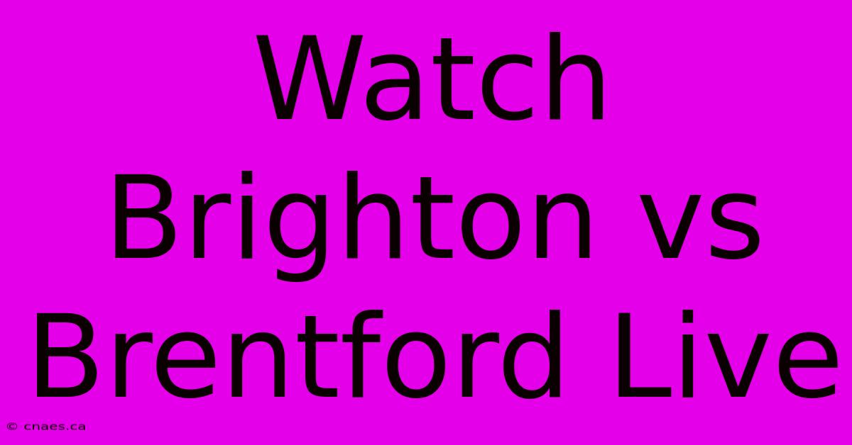 Watch Brighton Vs Brentford Live