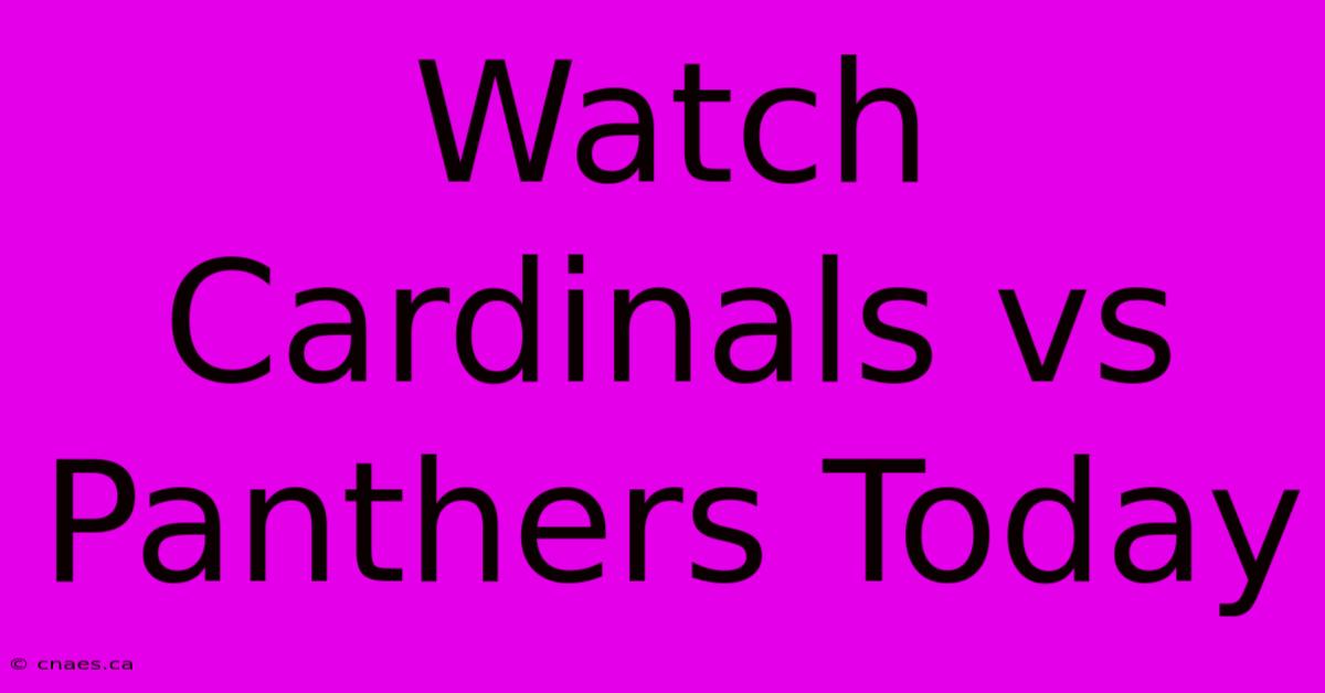 Watch Cardinals Vs Panthers Today