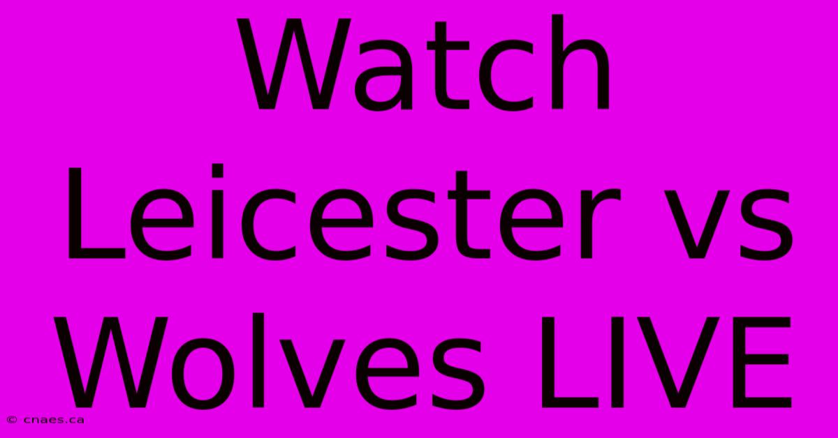 Watch Leicester Vs Wolves LIVE