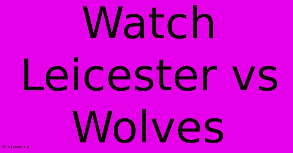 Watch Leicester Vs Wolves