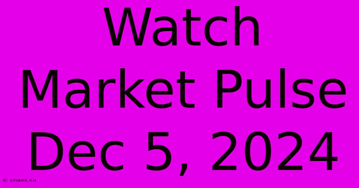 Watch Market Pulse Dec 5, 2024