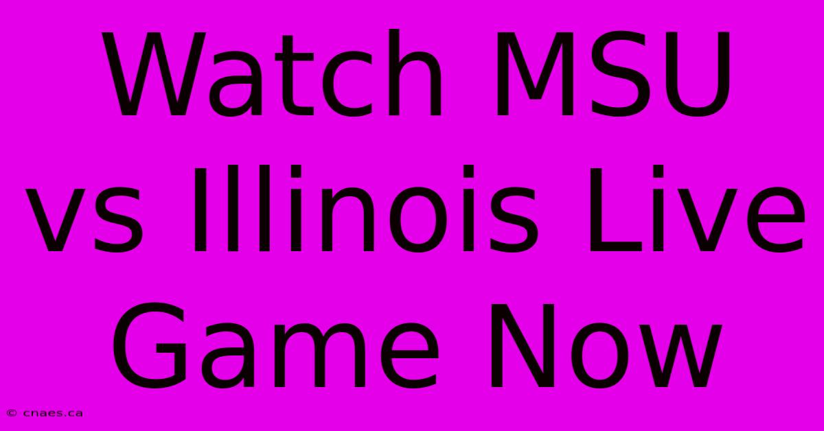 Watch MSU Vs Illinois Live Game Now