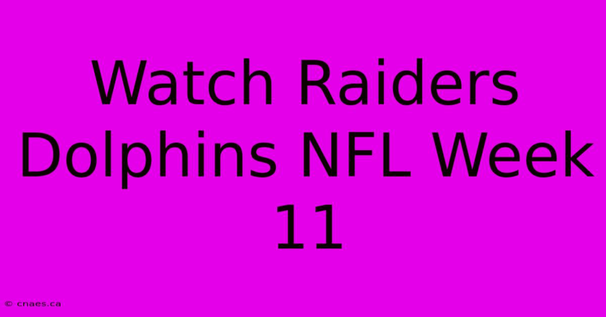 Watch Raiders Dolphins NFL Week 11