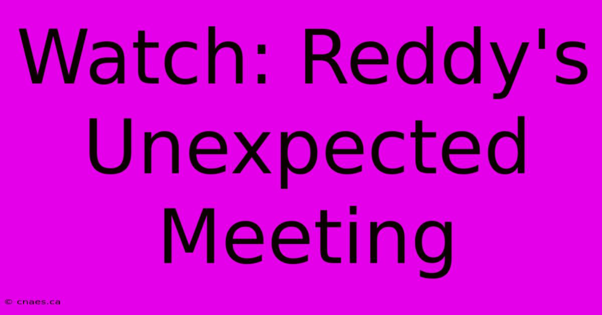 Watch: Reddy's Unexpected Meeting