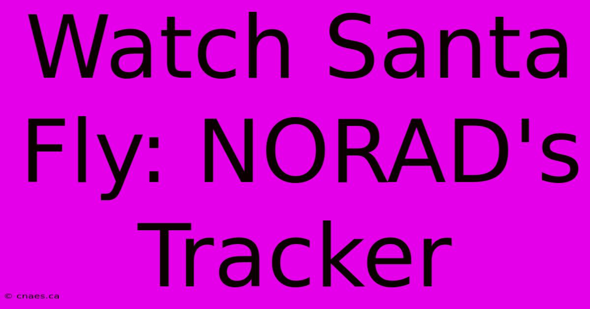 Watch Santa Fly: NORAD's Tracker