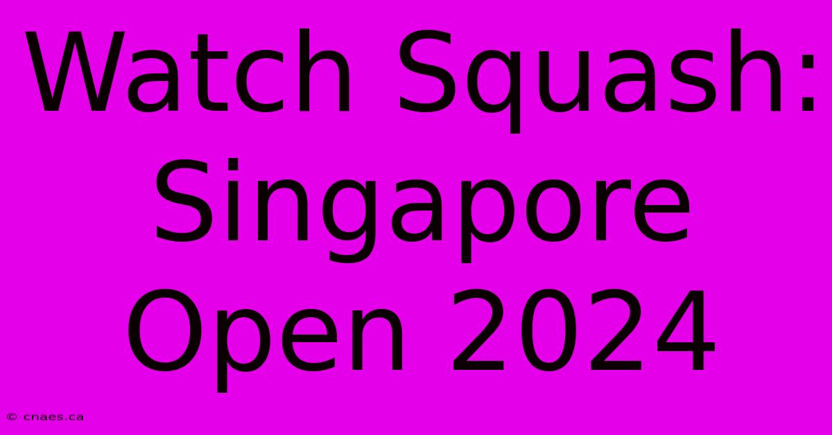 Watch Squash: Singapore Open 2024