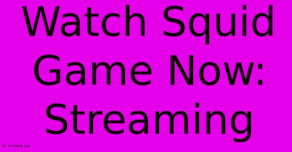 Watch Squid Game Now: Streaming