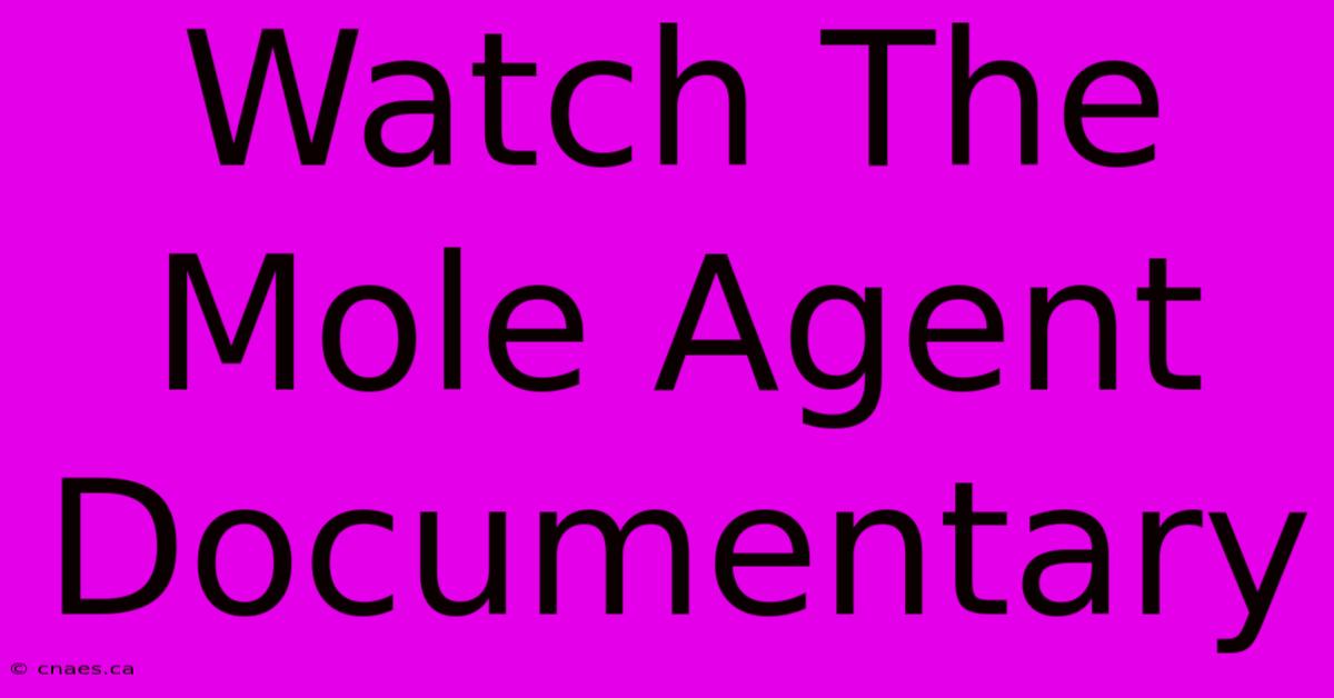 Watch The Mole Agent Documentary