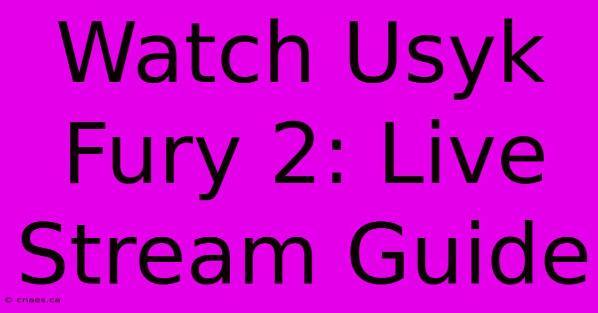 Watch Usyk Fury 2: Live Stream Guide