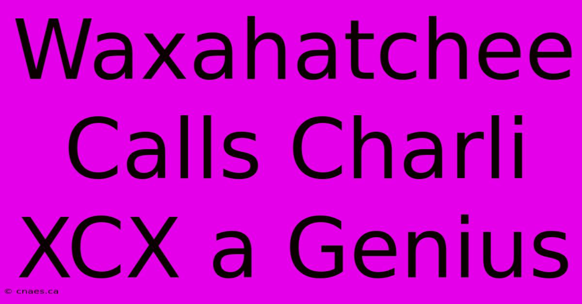 Waxahatchee Calls Charli XCX A Genius