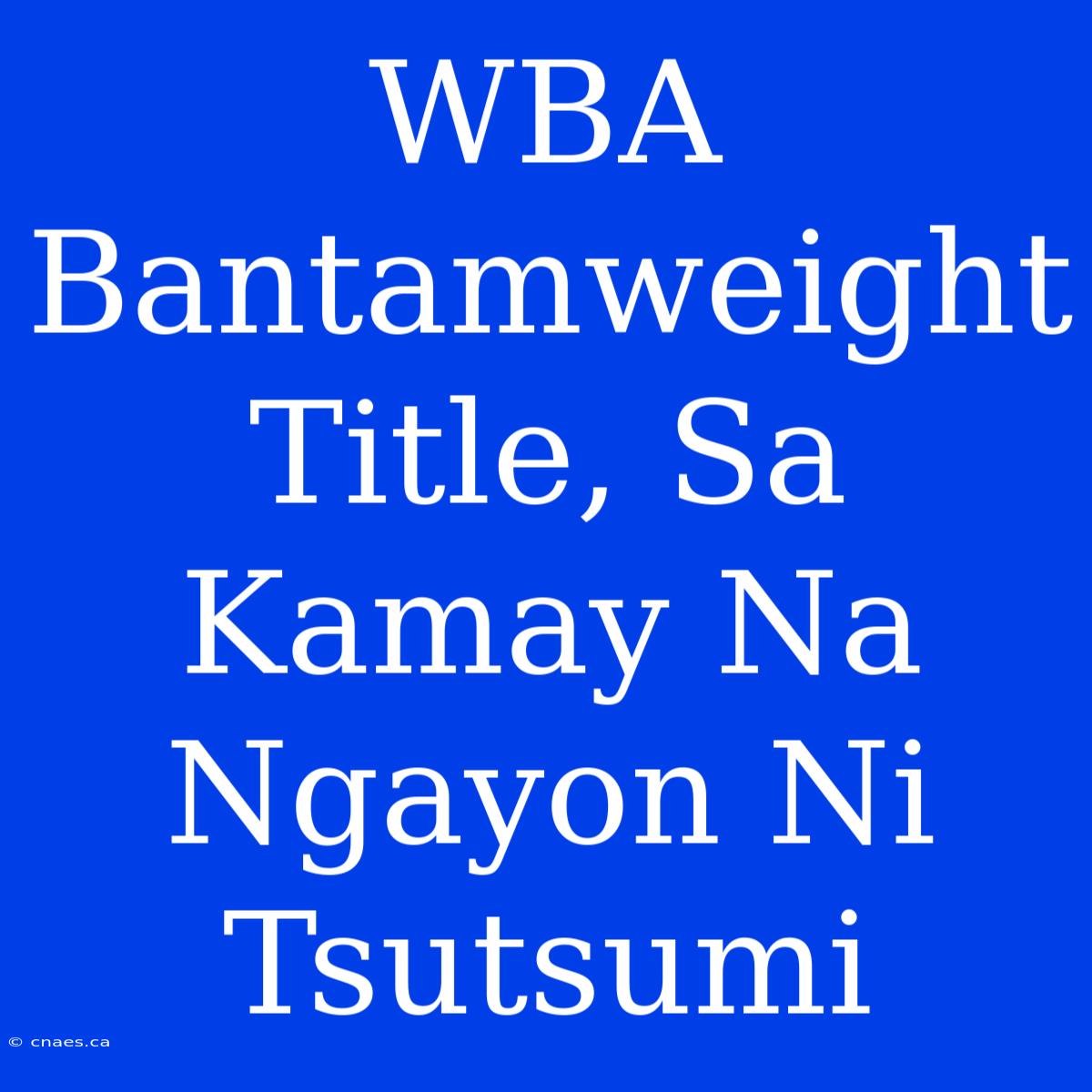 WBA Bantamweight Title, Sa Kamay Na Ngayon Ni Tsutsumi