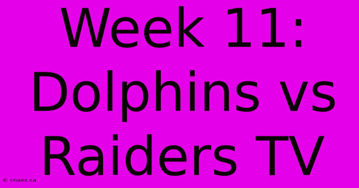 Week 11: Dolphins Vs Raiders TV