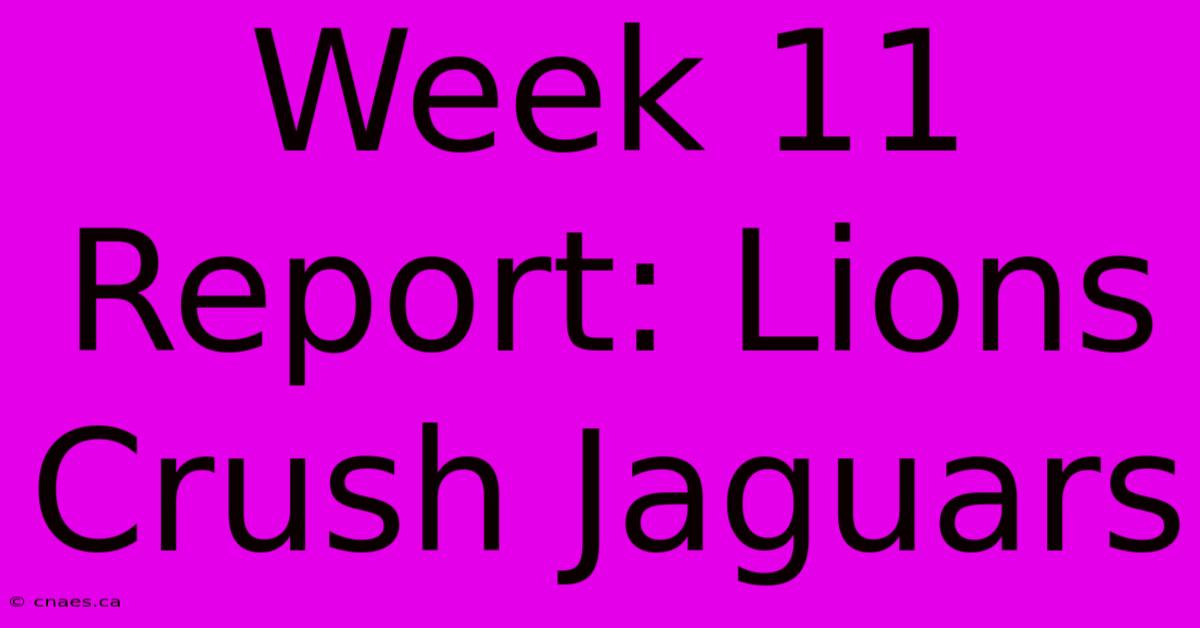 Week 11 Report: Lions Crush Jaguars